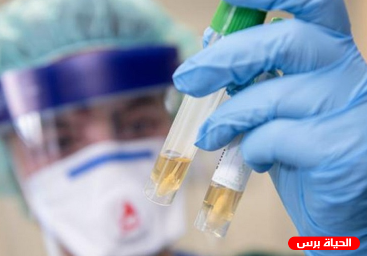 غزة: 7 وفيات و728 إصابة جديدة بكورونا